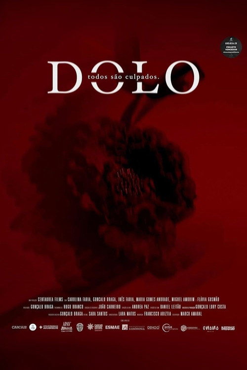 Movie poster for DOLO (2024)