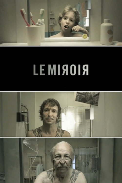 Movie poster for The Mirror (2010)