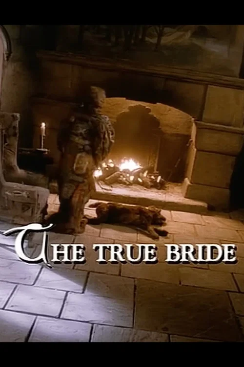 Movie poster for The Storyteller: The True Bride (1988)