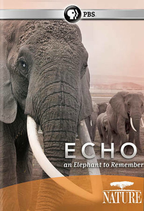 Movie poster for Echo: An Elephant to Remember (2010)