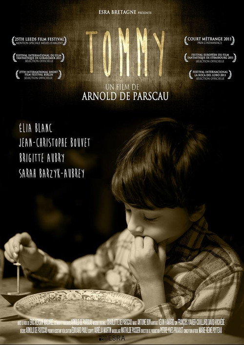 Movie poster for Tommy (2011)