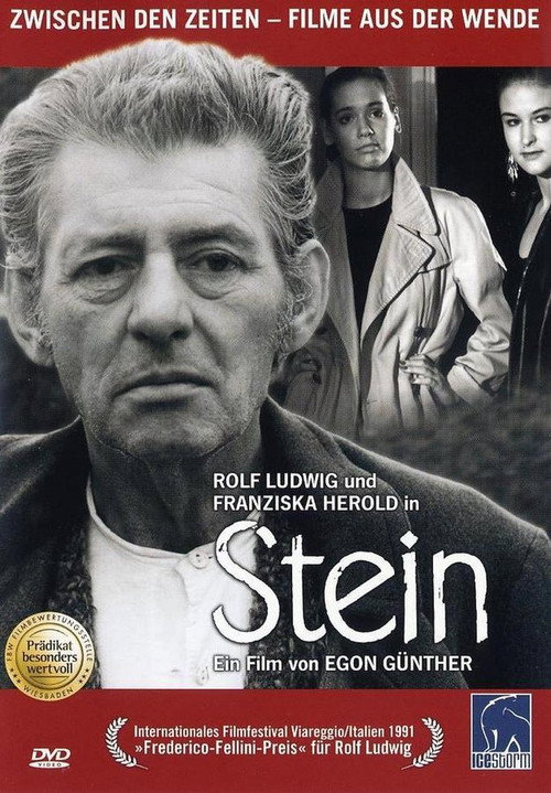 Movie poster for Stein (1991)
