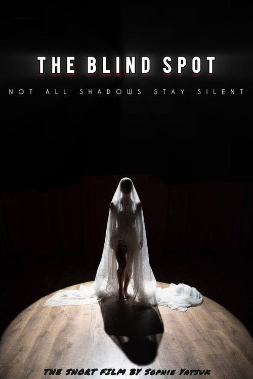 Movie poster for The Blind Spot (2025)
