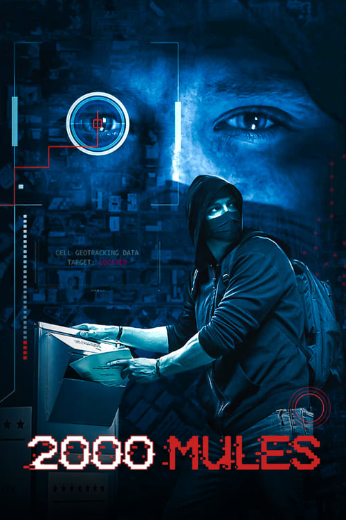 Movie poster for 2000 Mules (2022)