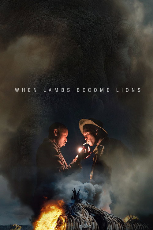 Movie poster for When Lambs Become Lions (2018)