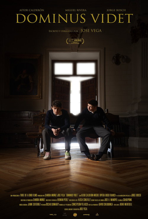 Movie poster for Dominus videt (2024)