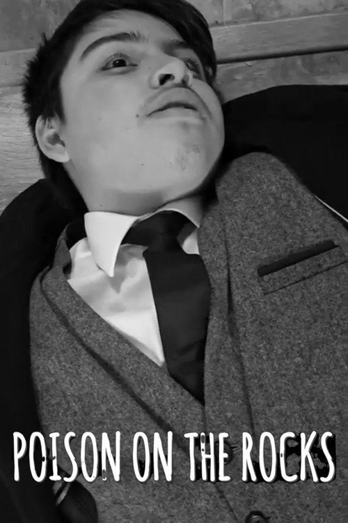 Movie poster for Poison on the Rocks (2024)