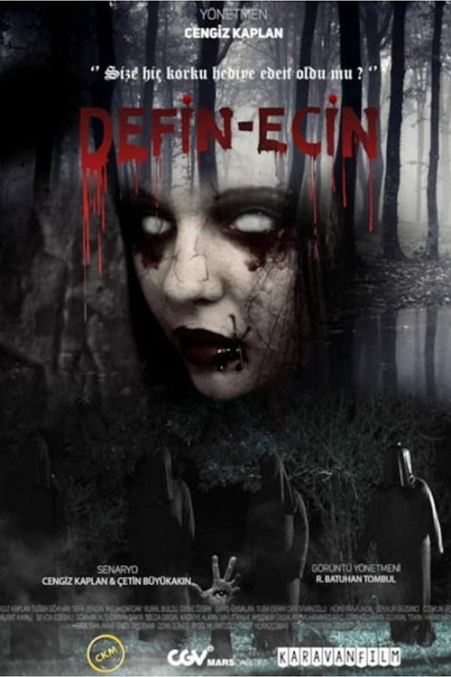 Movie poster for Defin-Ecin Zulman (2021)
