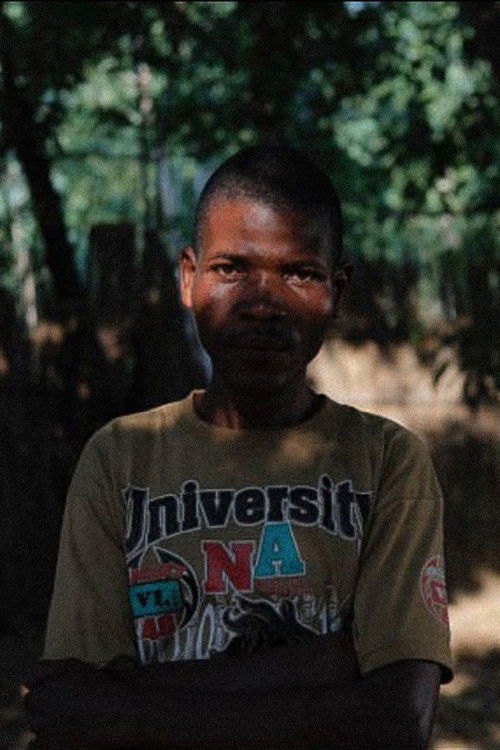 The Benevolent Dictator poster