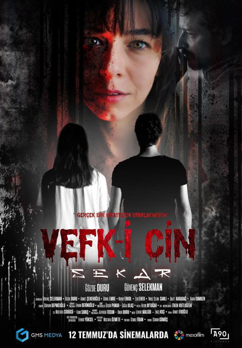 Movie poster for Vefk-i Cin Sekar (2024)
