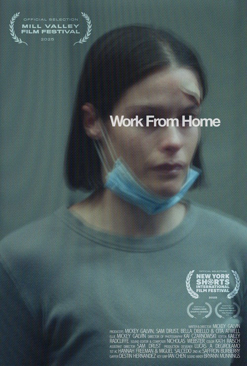 Movie poster for Work From Home (2024)