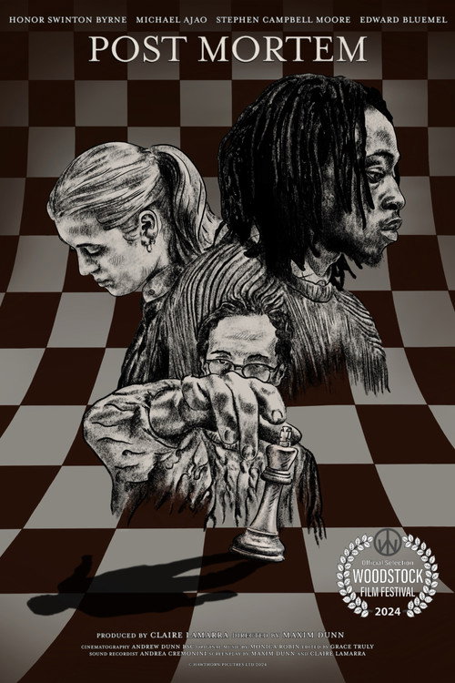 Movie poster for Post Mortem (2024)