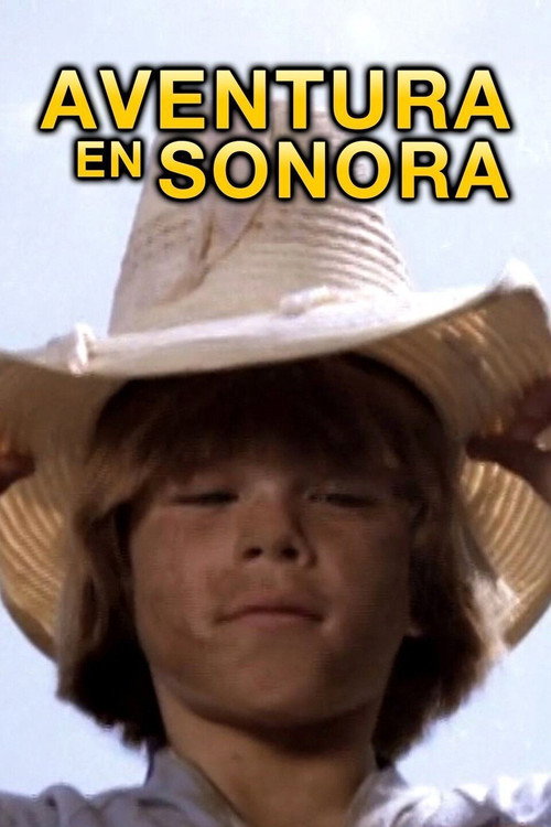 Movie poster for Tetakawi (1980)