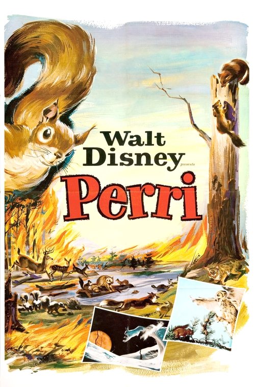 Movie poster for Perri (1957)