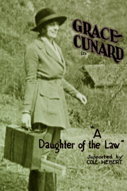 Movie poster for A Daughter of the Law (1921)