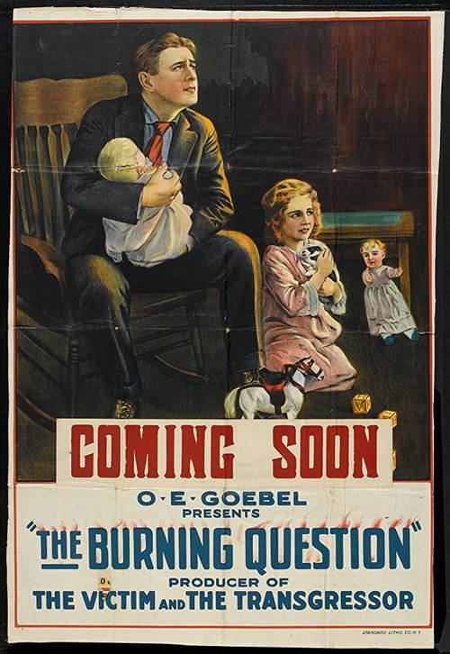 Movie poster for The Burning Question (1919)