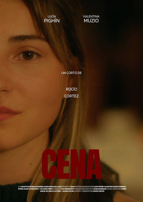 Movie poster for DINNER (2024)