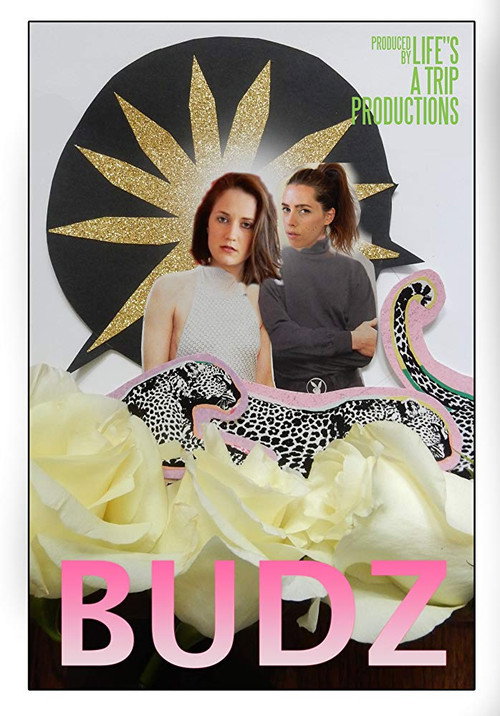 Movie poster for Budz (2017)