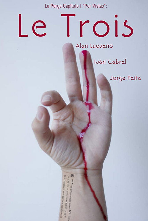 Movie poster for Le trois (2015)