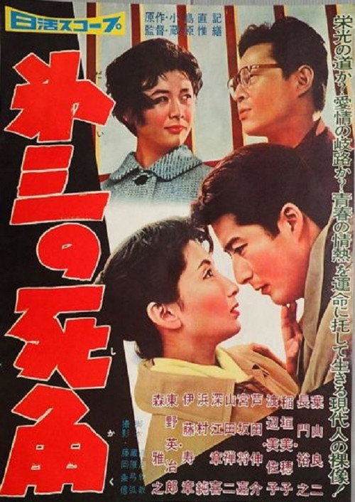 Movie poster for The Third Dead Angle (1959)