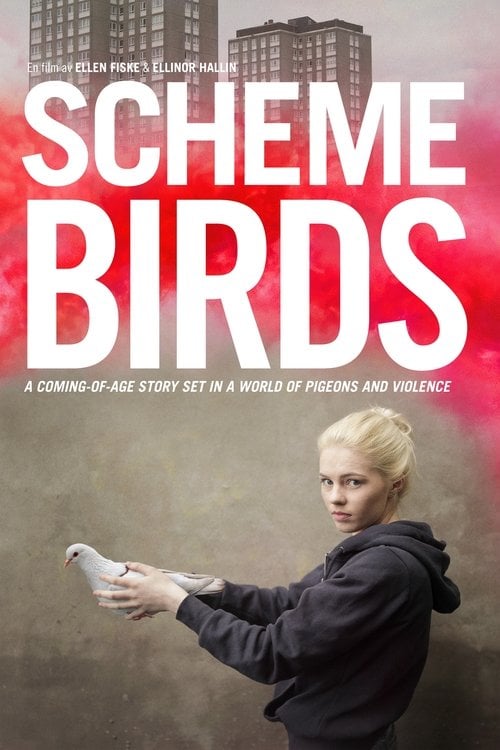 Movie poster for Scheme Birds (2019)
