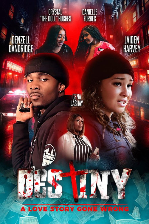 Movie poster for Destiny: A Love Story Gone Wrong (2024)
