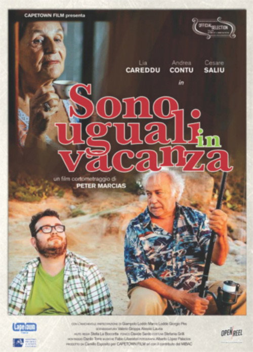 Movie poster for Sono uguali in vacanza (2014)