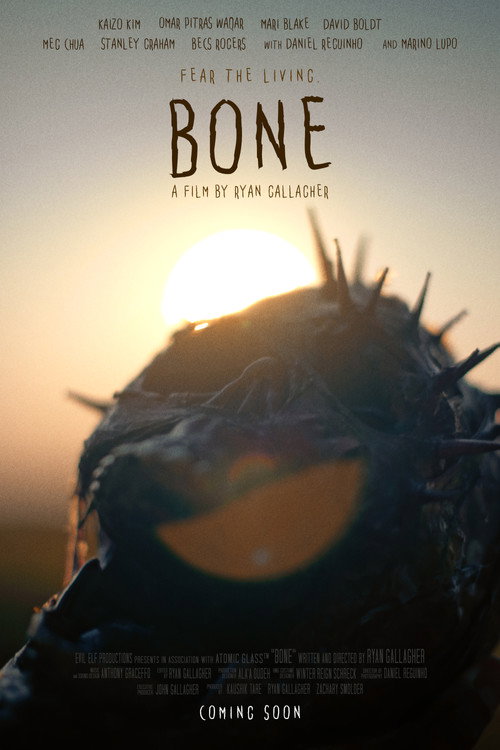 Movie poster for Bone