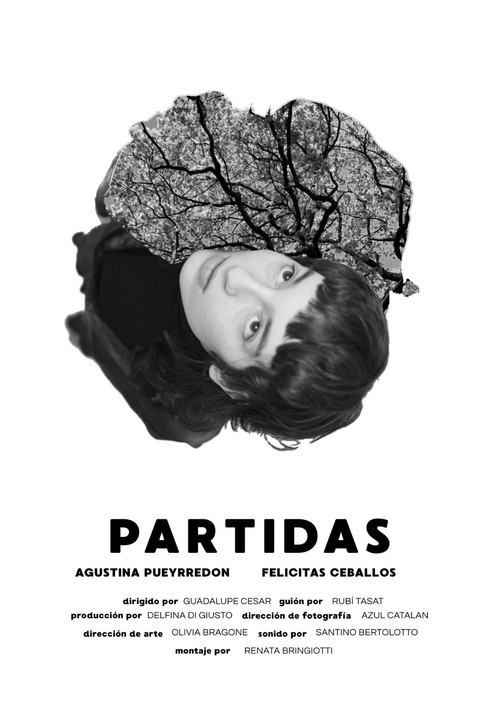 Movie poster for Partidas (2024)