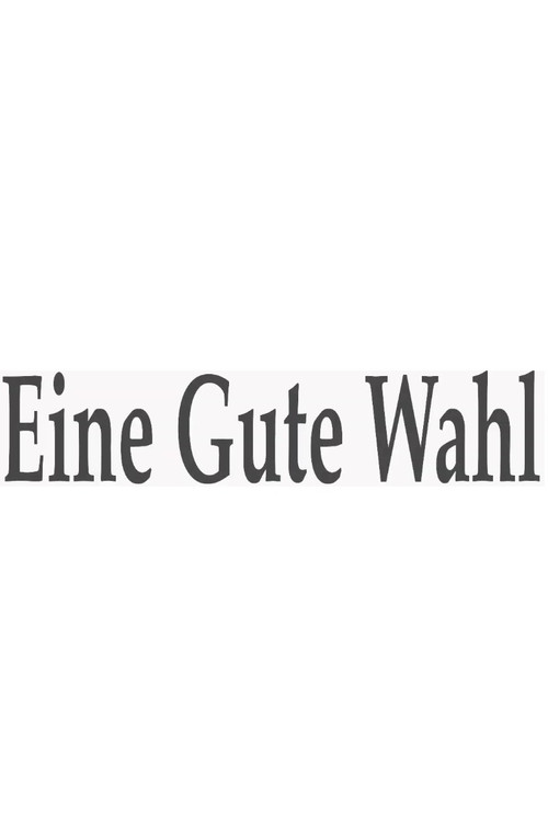 Movie poster for Eine gute Wahl (2013)