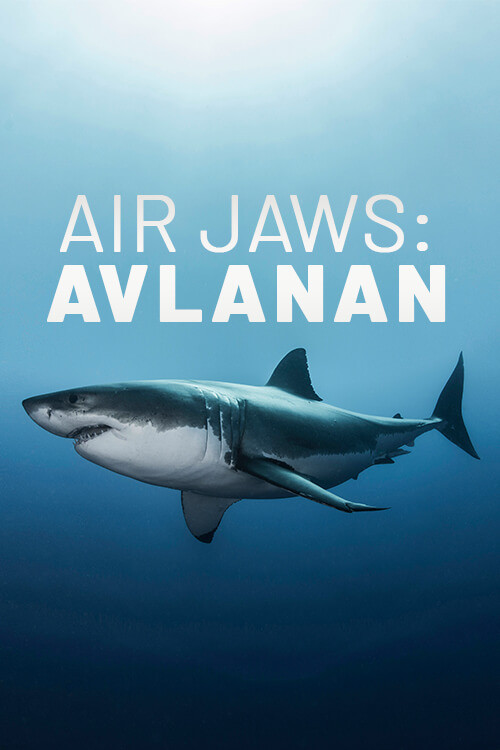 Movie poster for Air Jaws: The Hunted (2018)