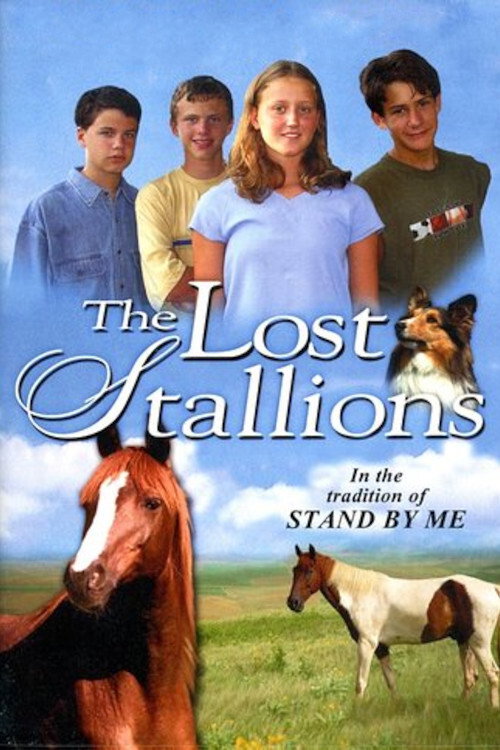 Movie poster for The Lost Stallions (2003)