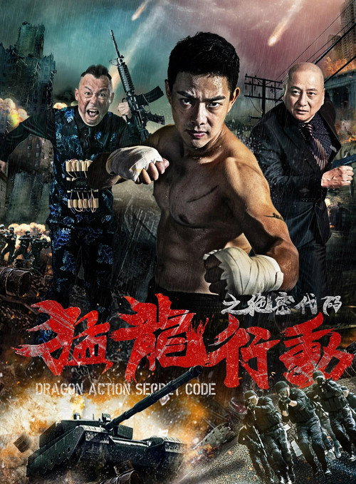 Movie poster for Dragon Action: Secret Code (2019)