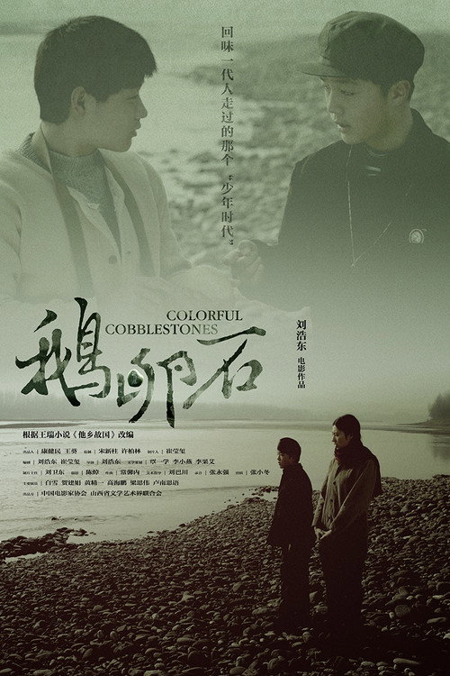 Movie poster for Colorful Cobblestones (2012)