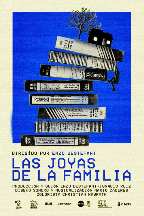 Movie poster for The family jewels (2021)