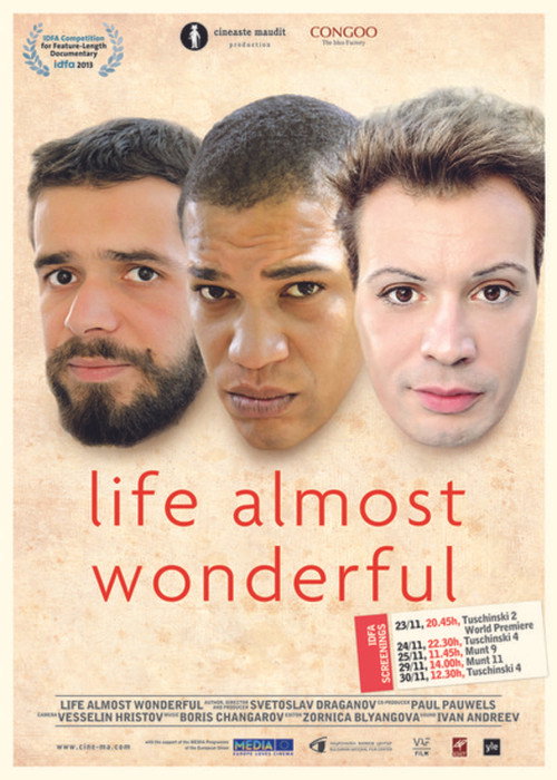 Movie poster for Life Almost Wonderful (2013)