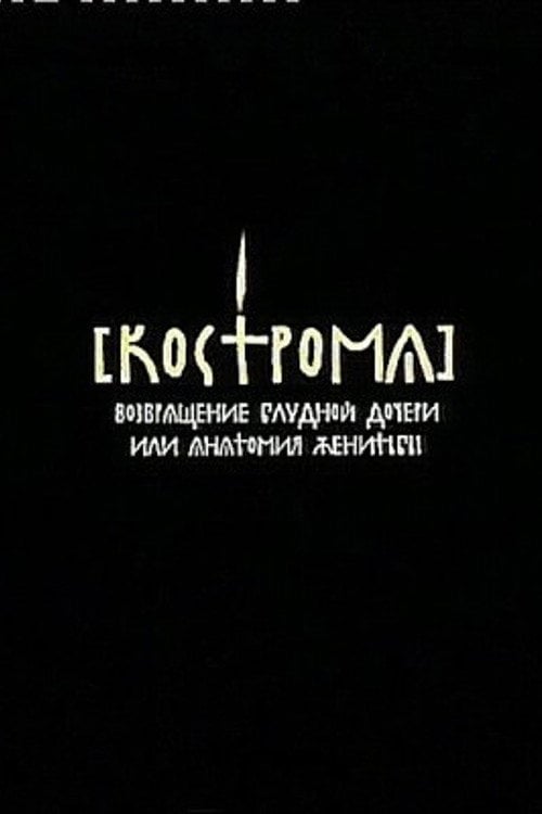 Movie poster for Kostroma (2002)