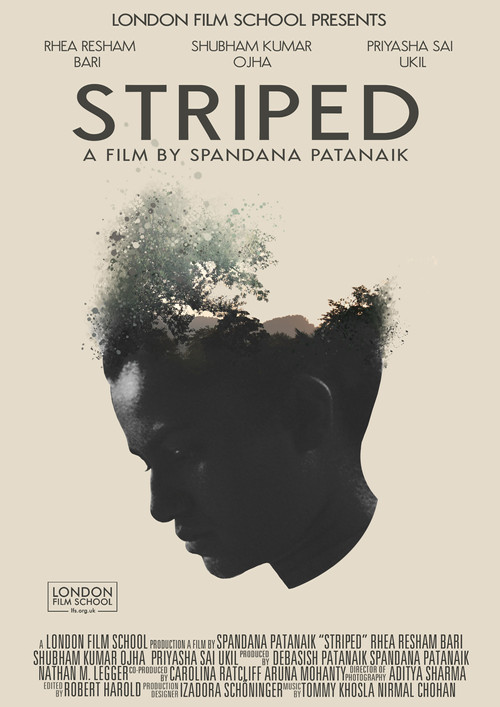 Movie poster for Striped (2023)