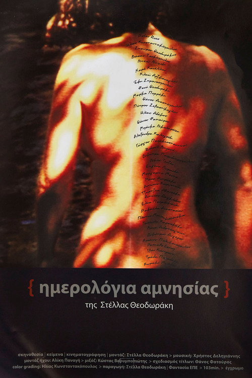 Movie poster for Amnesia Diaries (2012)