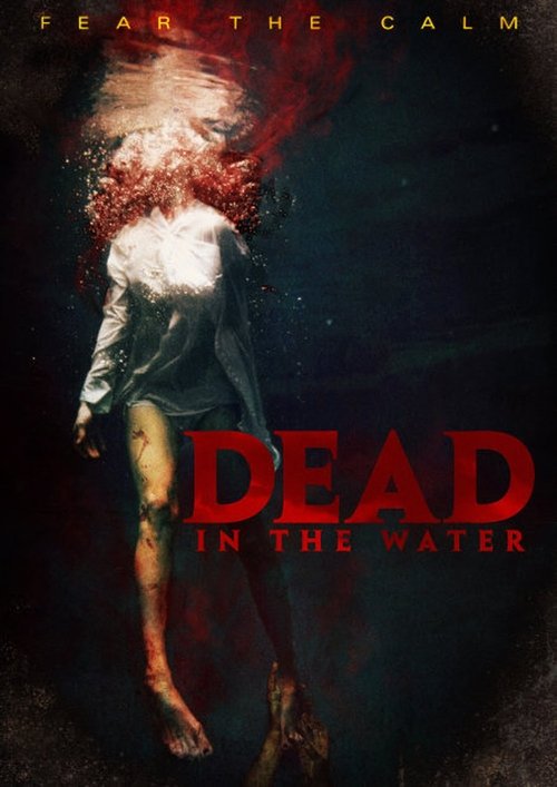 Movie poster for Dead in the Water (2006)