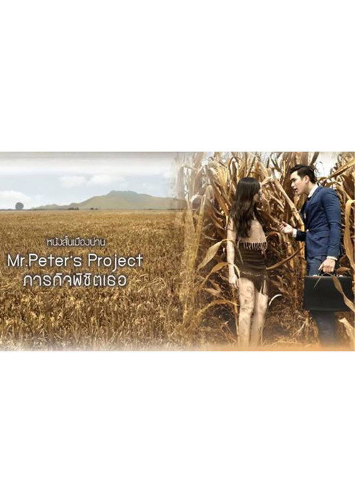 Movie poster for Mr. Peter’s Project (2015)
