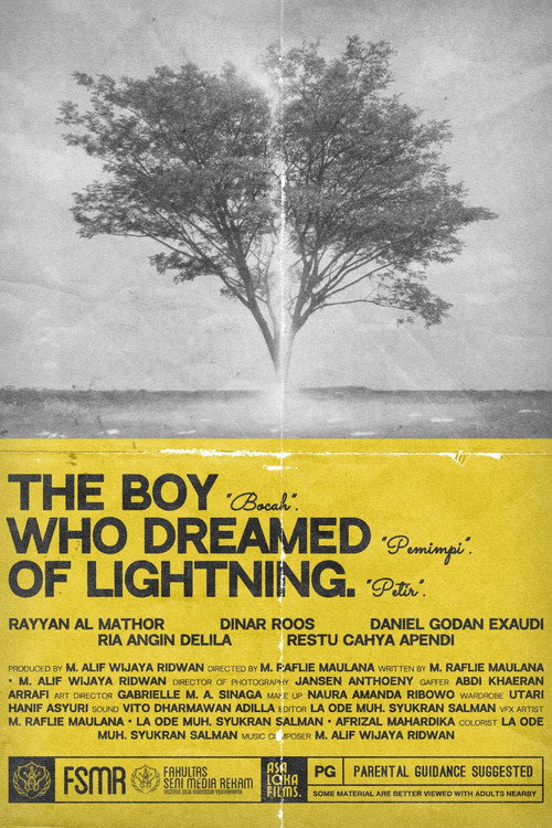 Movie poster for The Boy Who Dreamed of Lightning (2023)