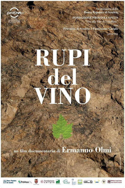 Movie poster for Wine Cliffs (2009)