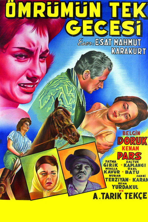 Movie poster for Ömrümün Tek Gecesi (1959)