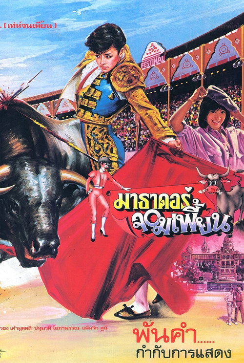Movie poster for The Extraordinary Matador (1985)