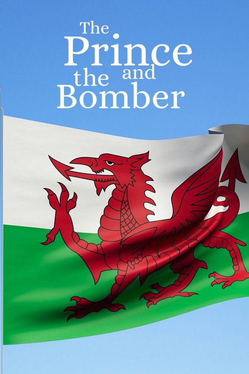 Movie poster for The Prince and the Bomber (2019)