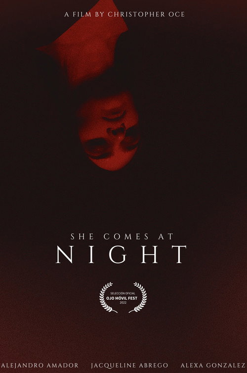Movie poster for SHE COMES AT NIGHT