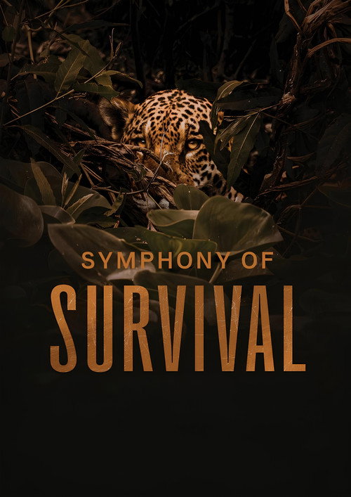 Movie poster for Symphony of Survival (2024)