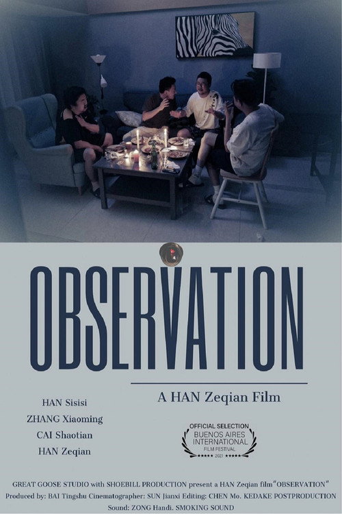 Movie poster for Observation (2021)