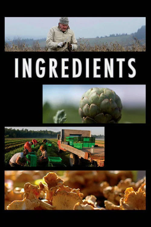 Movie poster for Ingredients (2009)